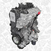 Moteur DW12RUE 2.2 BlueHdi