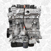 Moteur DW12RUE 2.2 BlueHdi
